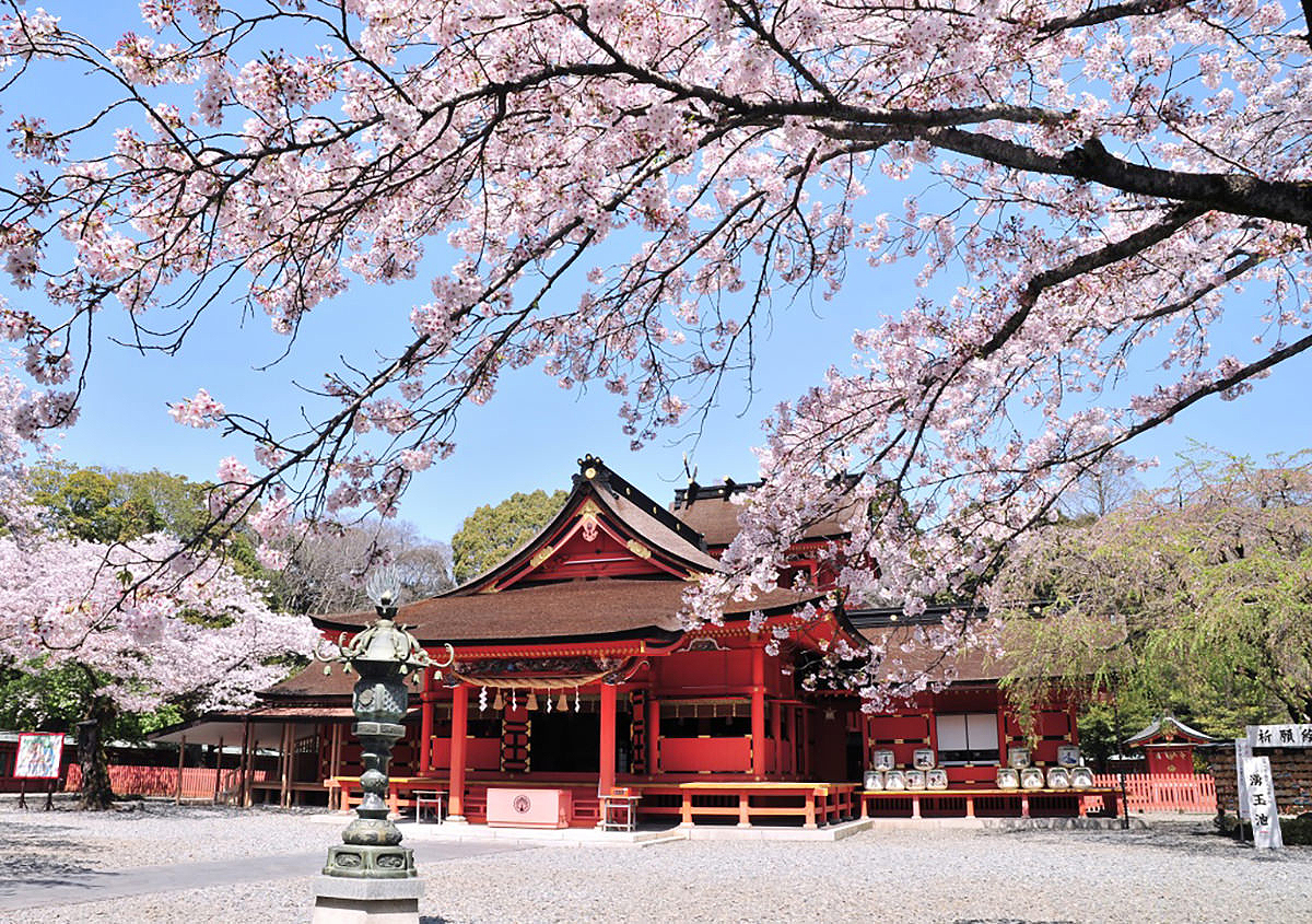 Japanese Shrine Example